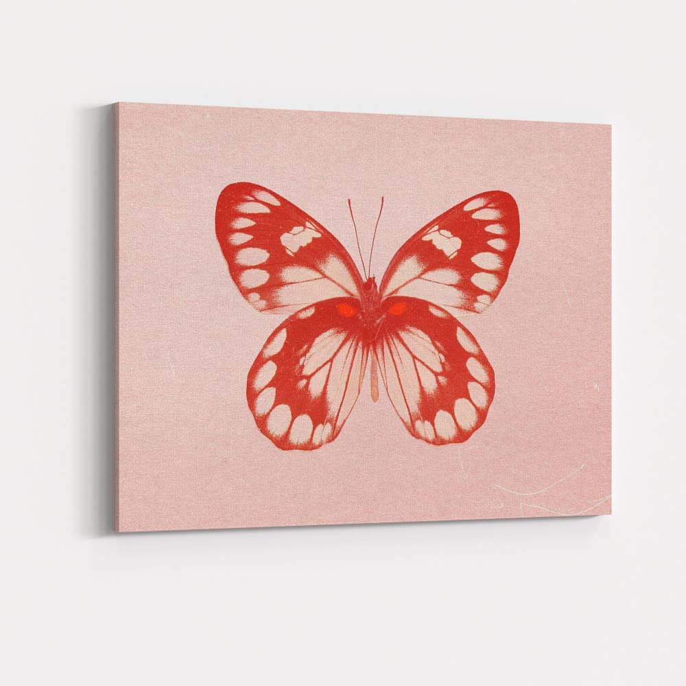 Red Butterfly Minimal Monochrome Nature Illustration Canvas Wall Art Print Decor Picture Ready to Hang
