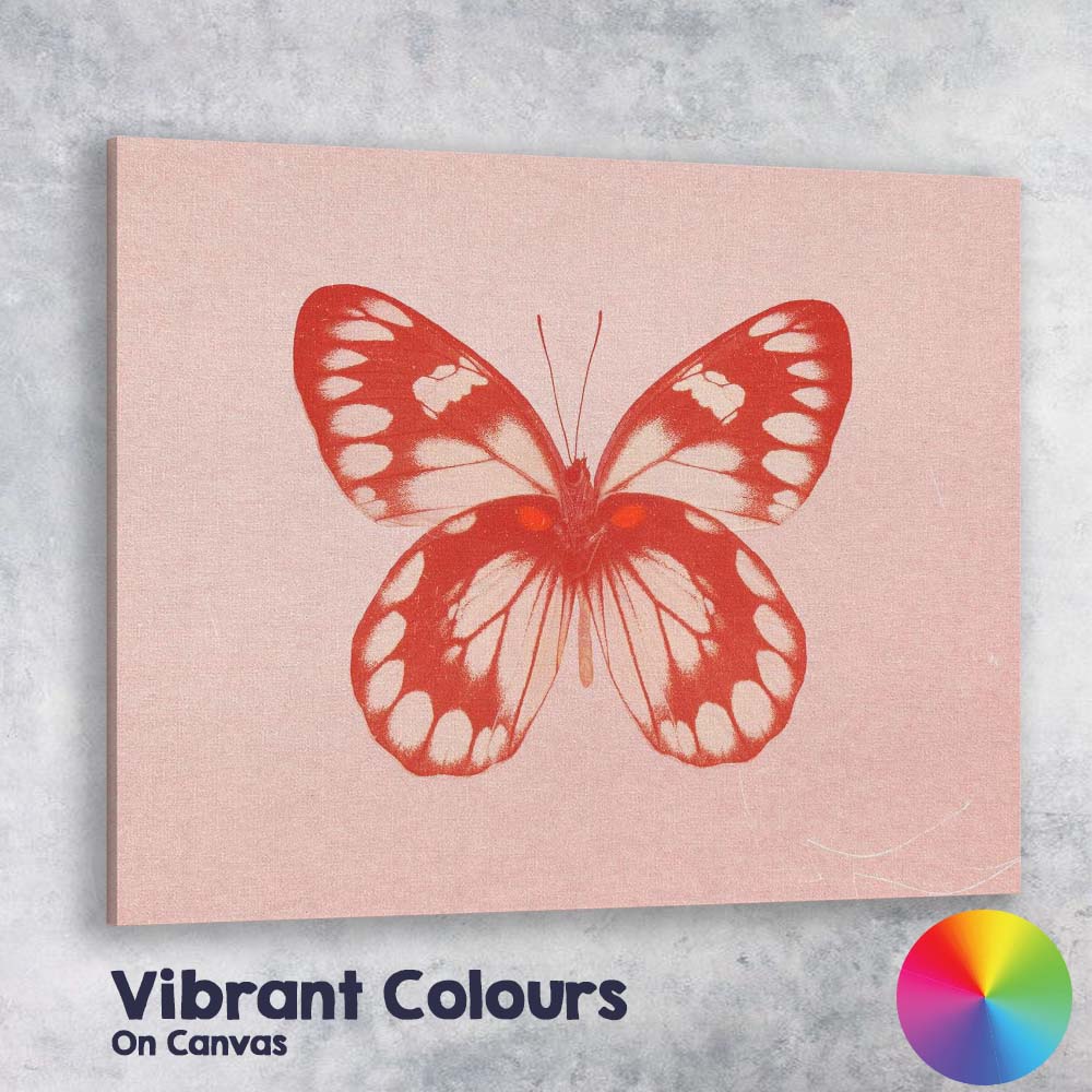 Red Butterfly Minimal Monochrome Nature Illustration Canvas Wall Art Print Decor Picture Ready to Hang