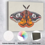 Colourful Peacock Moth Entomology Illustration Wildlife Nature Artwork Canvas Wall Art Print Decor Picture Ready to Hang