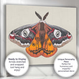 Colourful Peacock Moth Entomology Illustration Wildlife Nature Artwork Canvas Wall Art Print Decor Picture Ready to Hang