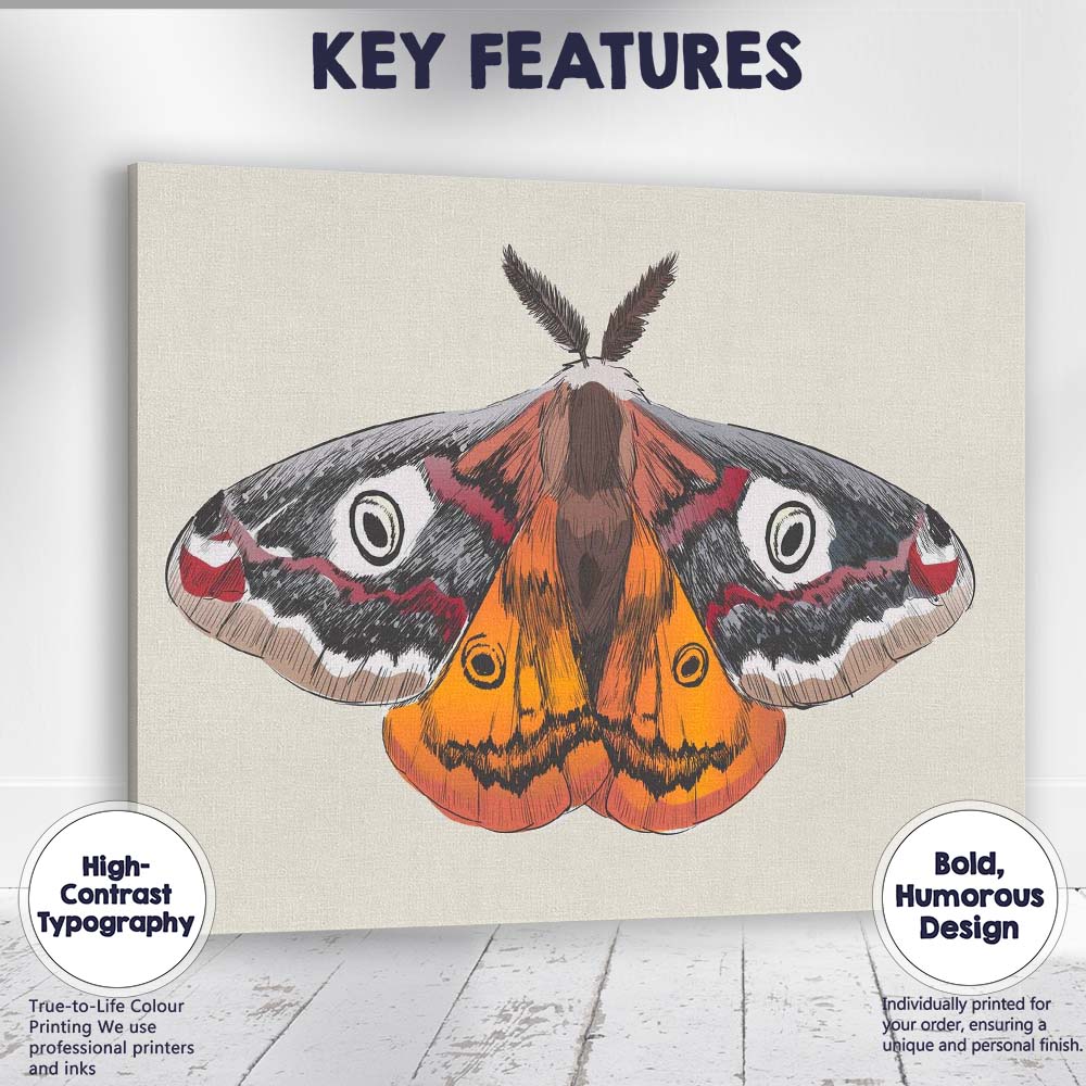 Colourful Peacock Moth Entomology Illustration Wildlife Nature Artwork Canvas Wall Art Print Decor Picture Ready to Hang