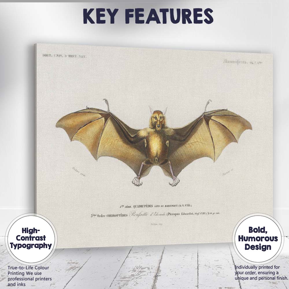 Antique Flying Fox Bat Scientific Illustration Victorian Zoology Artwork Canvas Wall Art Print Decor Picture Ready to Hang