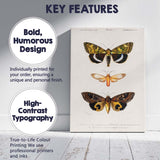 Antique Exotic Moth Collection Natural History Entomology Illustration Canvas Wall Art Print Decor Picture Ready to Hang