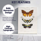 Antique Tropical Moth and Butterfly Entomology Study Natural History Canvas Wall Art Print Decor Picture Ready to Hang