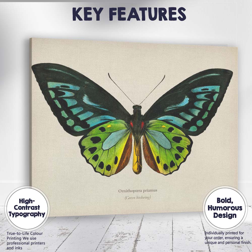 Exotic Green Birdwing Butterfly Natural History Illustration Vibrant Entomology Canvas Wall Art Print Decor Picture Ready to Hang