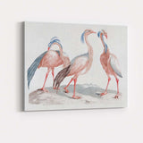 Antique Exotic Crowned Crane Bird Study Ornithology Illustration Canvas Wall Art Print Decor Picture Ready to Hang