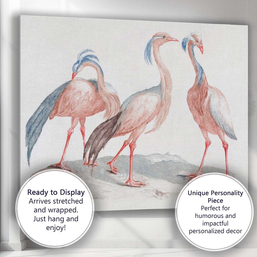 Antique Exotic Crowned Crane Bird Study Ornithology Illustration Canvas Wall Art Print Decor Picture Ready to Hang