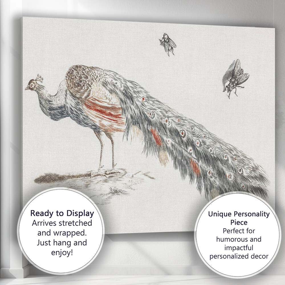 Antique Peacock Bird Illustration Elegant Feathered Wildlife Canvas Wall Art Print Decor Picture Ready to Hang