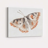 Antique Orange and Black Butterfly Engraving Entomology Study Canvas Wall Art Print Decor Picture Ready to Hang