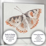 Antique Orange and Black Butterfly Engraving Entomology Study Canvas Wall Art Print Decor Picture Ready to Hang