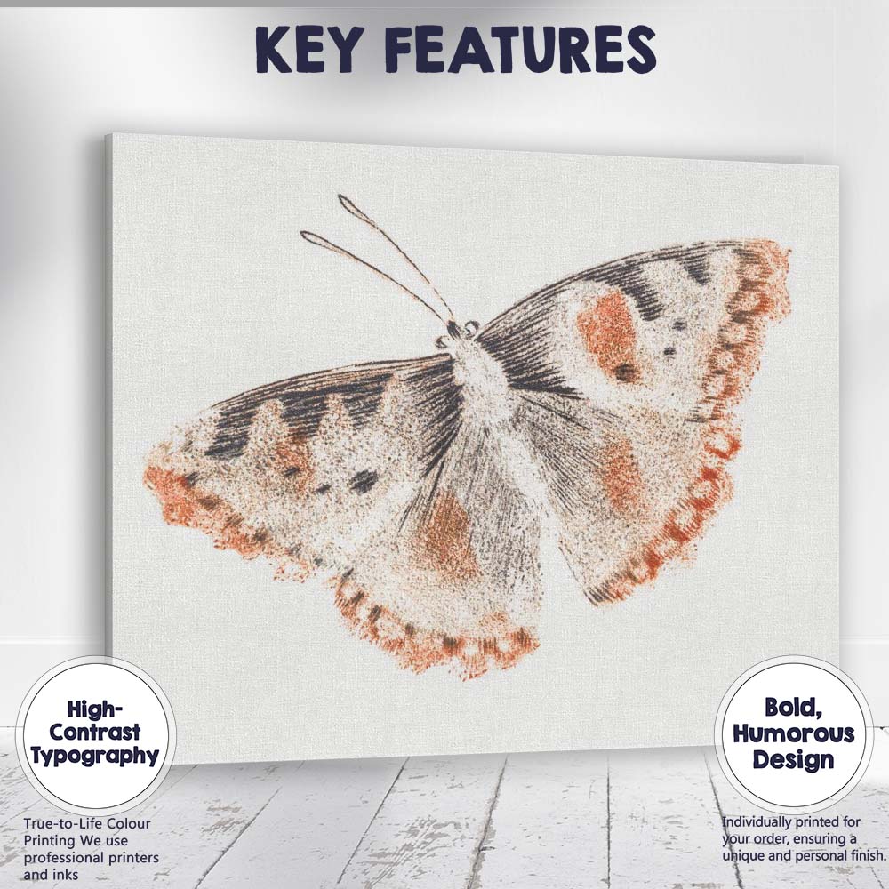 Antique Orange and Black Butterfly Engraving Entomology Study Canvas Wall Art Print Decor Picture Ready to Hang