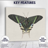 Antique Emerald Green Swallowtail Butterfly Natural History Illustration Canvas Wall Art Print Decor Picture Ready to Hang