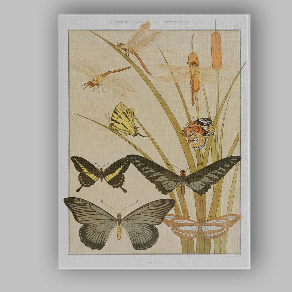 Art Nouveau Butterflies Dragonflies Reeds Nature Illustration Canvas Wall Art Print Decor Picture Ready to Hang
