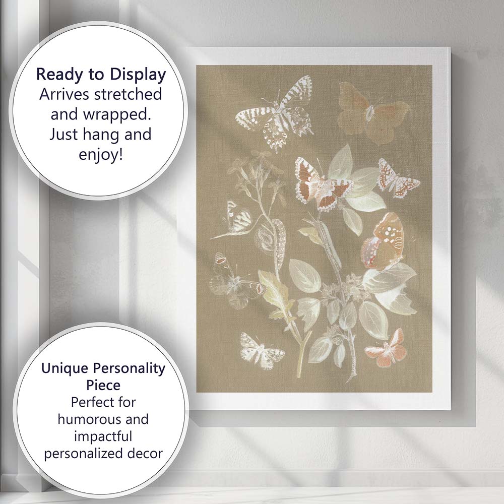 Soft Beige Butterfly Specimen Botanical Entomology Illustration Canvas Wall Art Print Decor Picture Ready to Hang