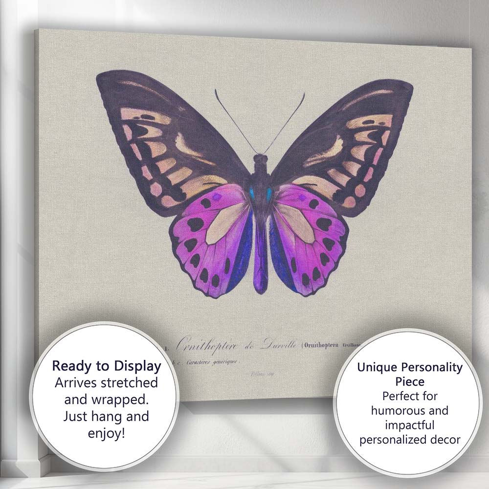 Vibrant Purple Butterfly Antique Scientific Illustration Canvas Wall Art Print Decor Picture Ready to Hang