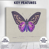 Vibrant Purple Butterfly Antique Scientific Illustration Canvas Wall Art Print Decor Picture Ready to Hang