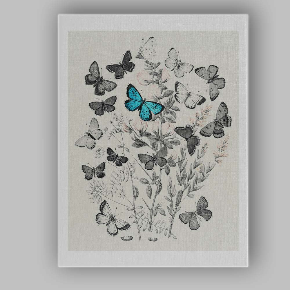 Monochrome Butterfly and Wildflower Botanical Collage with Blue Accent Canvas Wall Art Print Decor Picture Ready to Hang