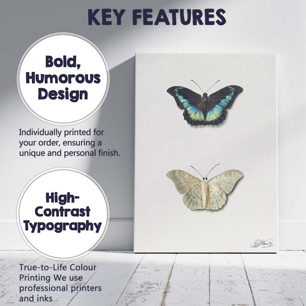 Elegant Blue and Cream Butterfly Specimen Watercolour Illustration Canvas Wall Art Print Decor Picture Ready to Hang
