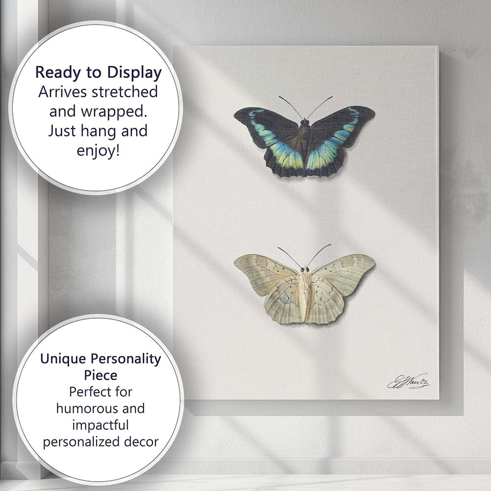Elegant Blue and Cream Butterfly Specimen Watercolour Illustration Canvas Wall Art Print Decor Picture Ready to Hang