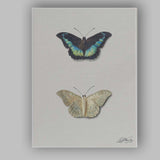 Elegant Blue and Cream Butterfly Specimen Watercolour Illustration Canvas Wall Art Print Decor Picture Ready to Hang