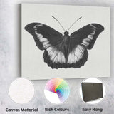 Black and White Tropical Butterfly Natural History Drawing Canvas Wall Art Print Decor Picture Ready to Hang