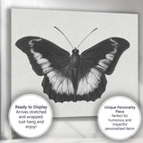 Black and White Tropical Butterfly Natural History Drawing Canvas Wall Art Print Decor Picture Ready to Hang