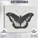 Black and White Tropical Butterfly Natural History Drawing Canvas Wall Art Print Decor Picture Ready to Hang