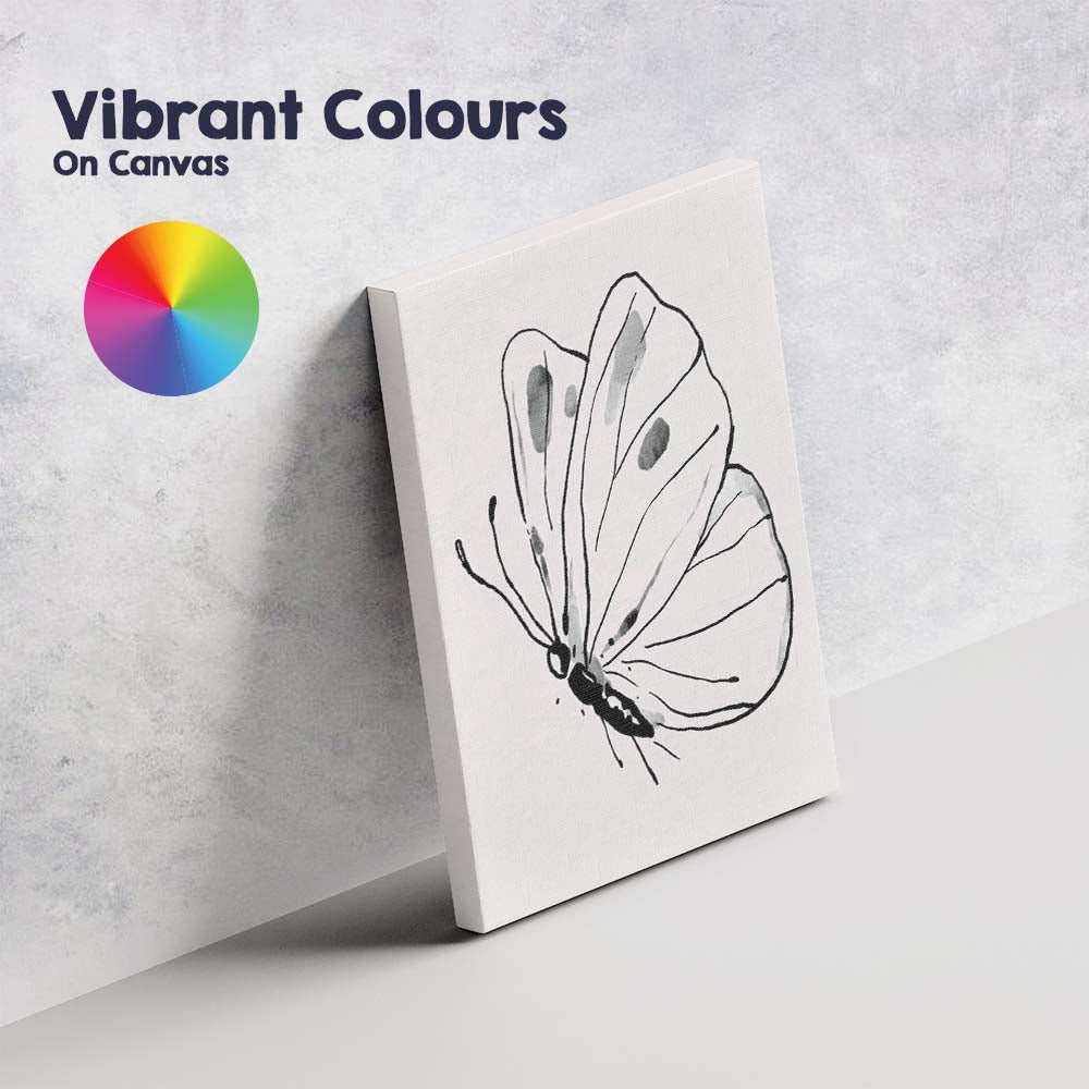 Minimalist Monochrome Butterfly Watercolour Line Art Illustration Canvas Wall Art Print Decor Picture Ready to Hang