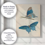 Blue Morpho Butterfly Antique Entomology Illustration Canvas Wall Art Print Decor Picture Ready to Hang