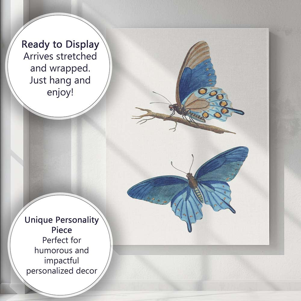 Elegant Blue Butterfly Natural History Scientific Artwork Canvas Wall Art Print Decor Picture Ready to Hang