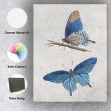 Elegant Blue Butterfly Natural History Scientific Artwork Canvas Wall Art Print Decor Picture Ready to Hang