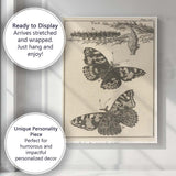 Antique Butterfly Life Cycle Entomology Engraving Artwork Canvas Wall Art Print Decor Picture Ready to Hang
