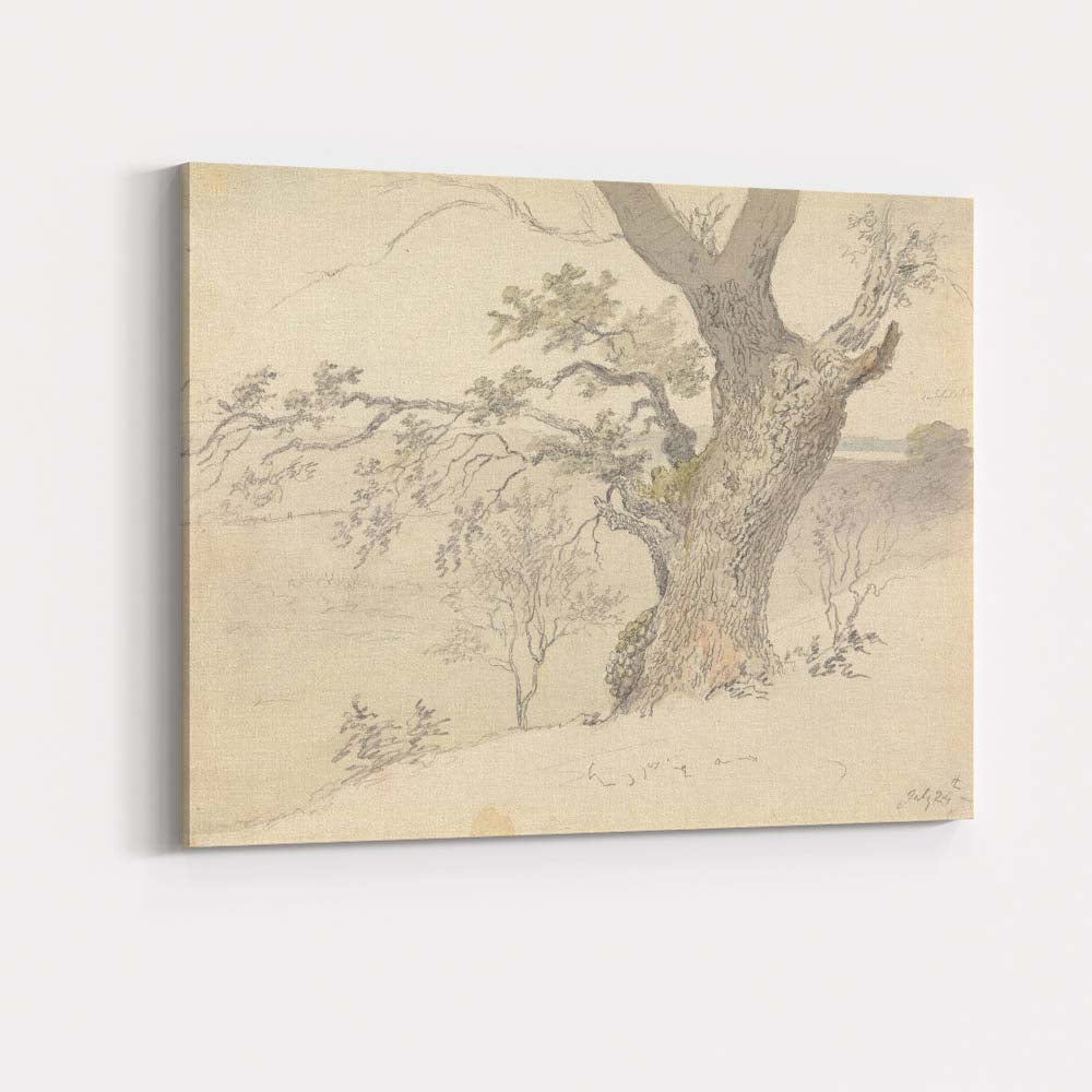 Ancient Oak Tree Landscape Pencil Sketch Rustic Countryside Nature Canvas Wall Art Print Decor Picture Ready to Hang