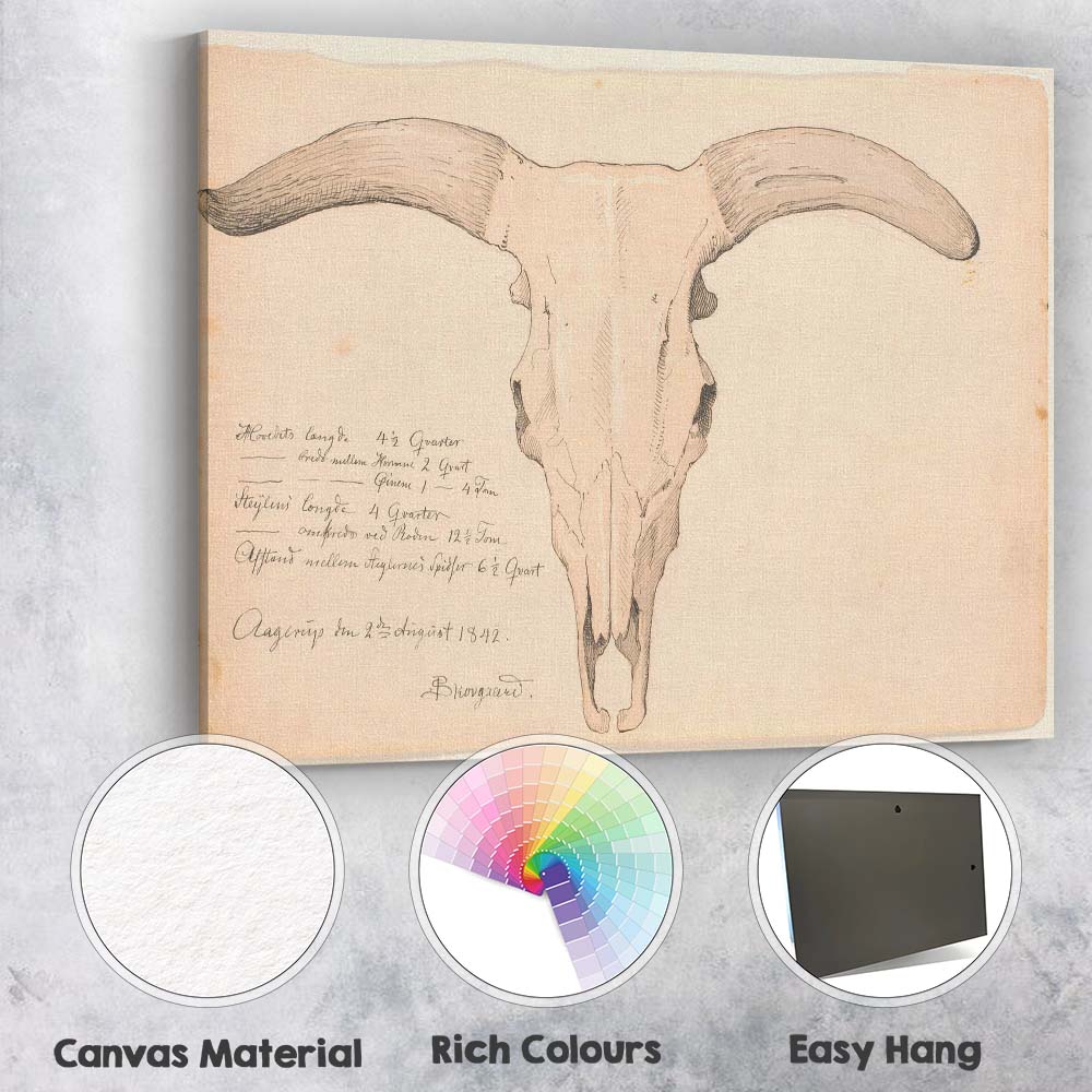 Antique Longhorn Cattle Skull Scientific Drawing Canvas Wall Art Print Decor Picture Ready to Hang