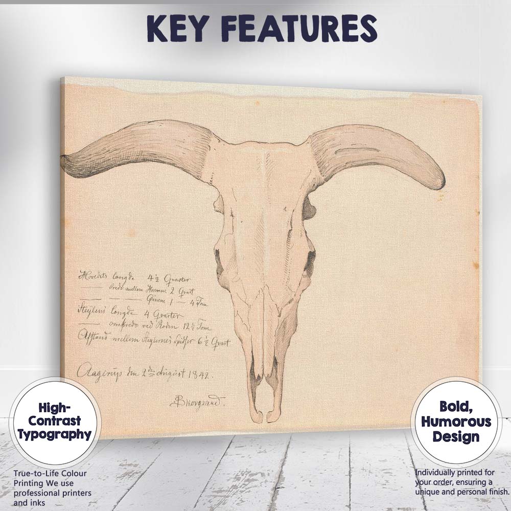 Antique Longhorn Cattle Skull Scientific Drawing Canvas Wall Art Print Decor Picture Ready to Hang