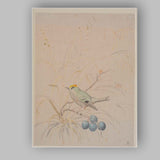 Minimalist Bird And Blue Berries Botanical Watercolour Canvas Wall Art Print Decor Picture Ready to Hang