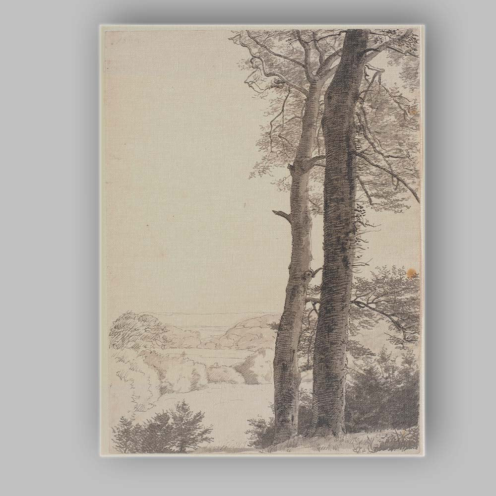 Majestic Woodland Tree Trunks Scenic Countryside Drawing Canvas Wall Art Print Decor Picture Ready to Hang