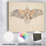 Spread Wing Eagle Natural History Watercolour Study Canvas Wall Art Print Decor Picture Ready to Hang