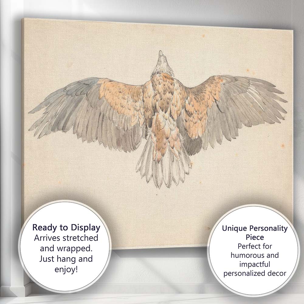 Spread Wing Eagle Natural History Watercolour Study Canvas Wall Art Print Decor Picture Ready to Hang