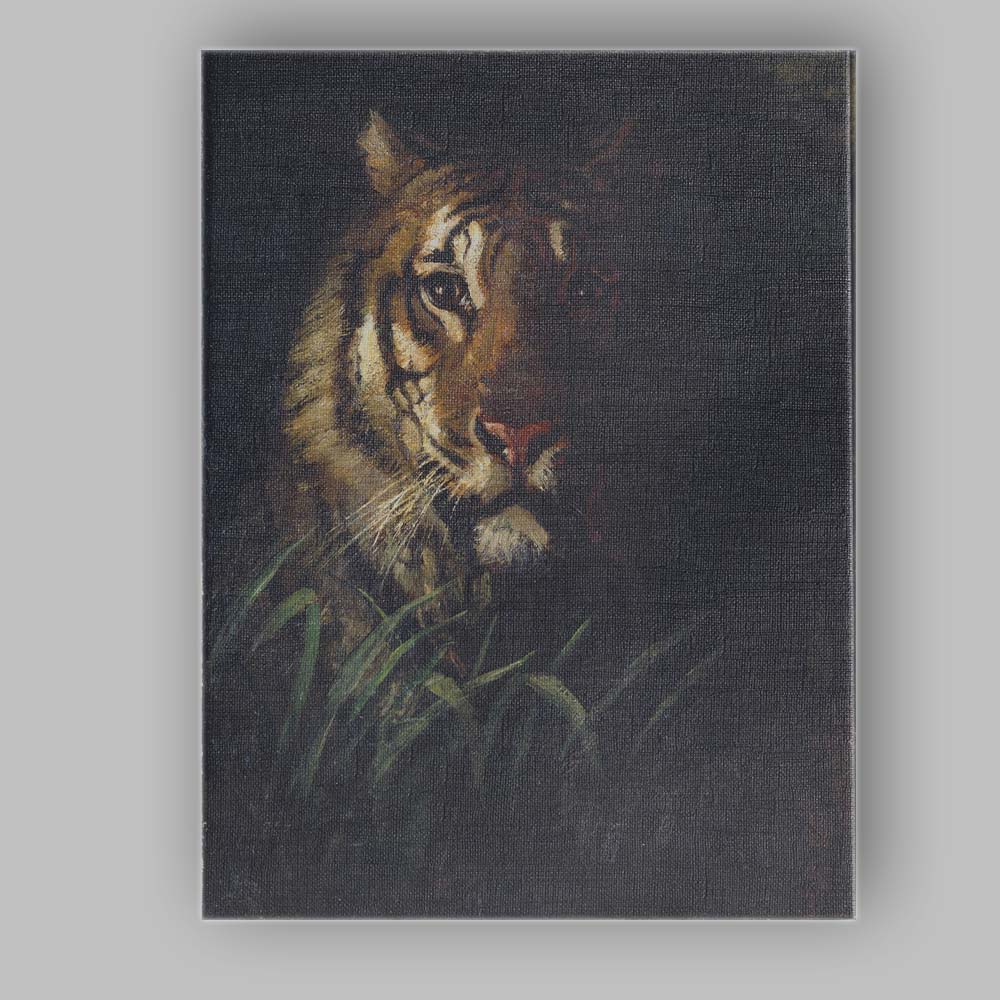 Dark Tiger Portrait Emerging From Forest Shadows Canvas Wall Art Print Decor Picture Ready to Hang