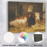 Resting Brown And White Farm Cow Barn Interior Canvas Wall Art Print Decor Picture Ready to Hang