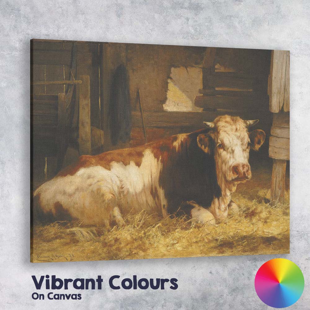 Resting Brown And White Farm Cow Barn Interior Canvas Wall Art Print Decor Picture Ready to Hang