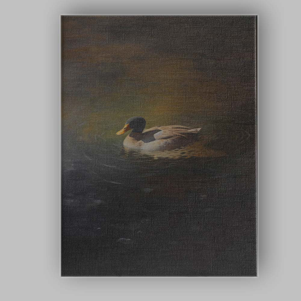 Mallard Duck on Tranquil Dark Water Wildlife Canvas Wall Art Print Decor Picture Ready to Hang