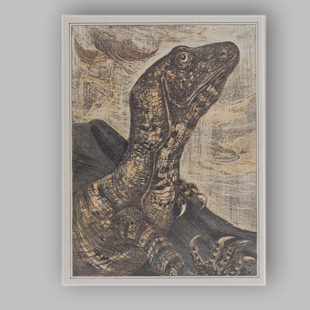 Antique Monitor Lizard Natural History Illustration Canvas Wall Art Print Decor Picture Ready to Hang