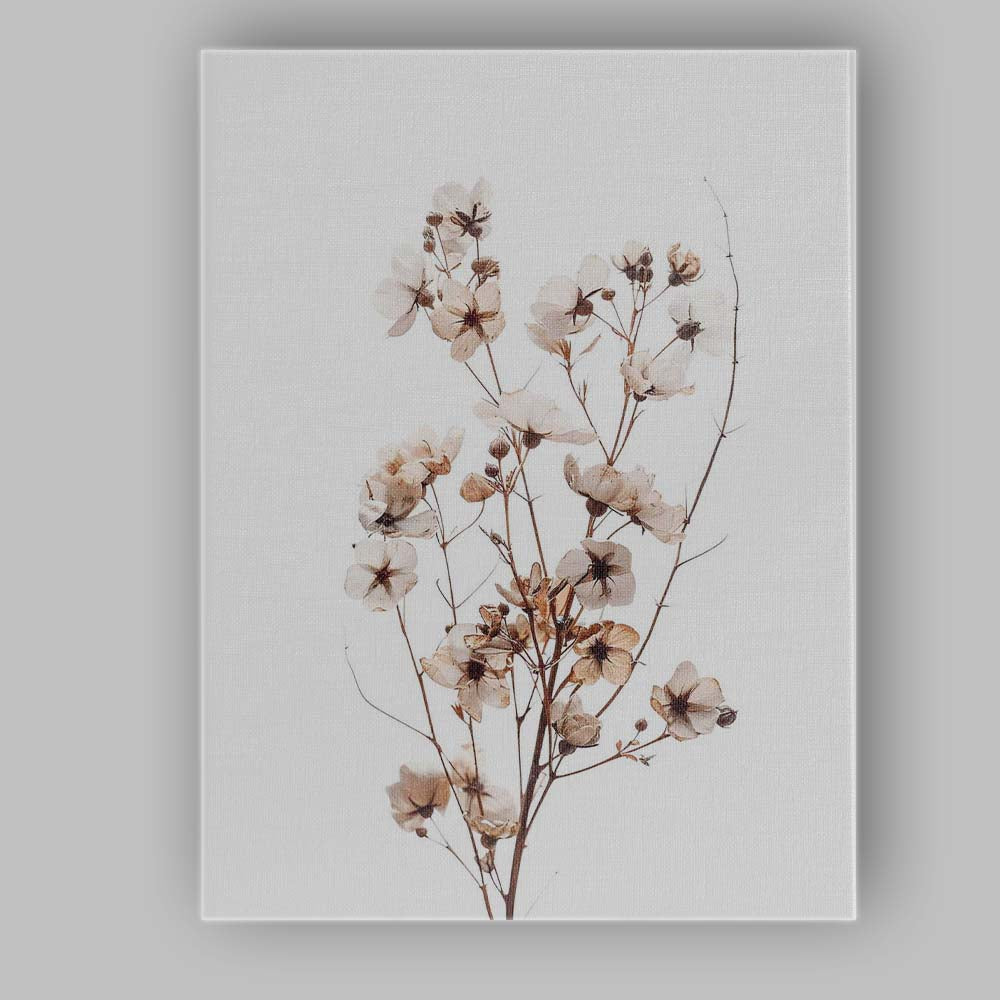 Delicate Ivory Wildflower Blossom Watercolour Botanical Stem Canvas Wall Art Print Decor Picture Ready to Hang