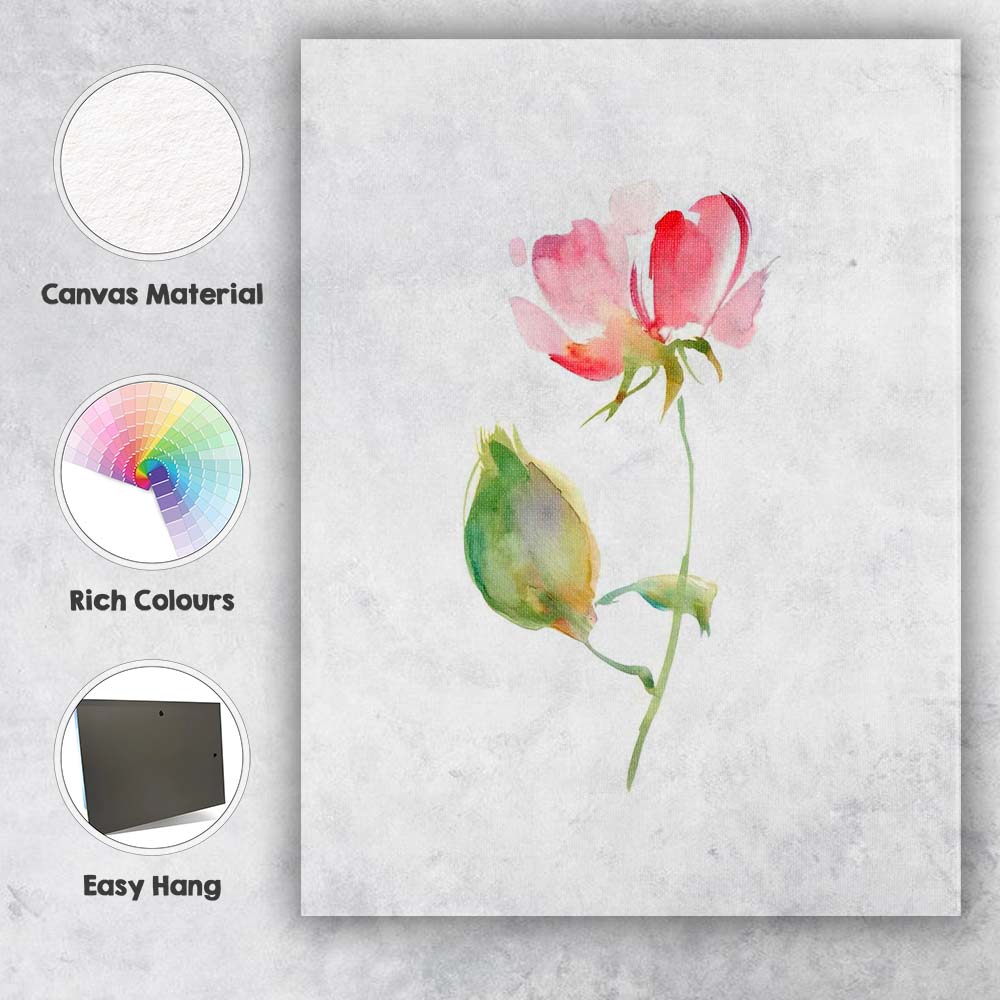 Soft Pink Watercolour Rose Bloom Botanical Illustration Canvas Wall Art Print Decor Picture Ready to Hang