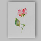 Soft Pink Watercolour Rose Bloom Botanical Illustration Canvas Wall Art Print Decor Picture Ready to Hang