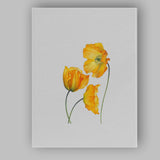 Golden Yellow California Poppy Botanical Watercolour Canvas Wall Art Print Decor Picture Ready to Hang