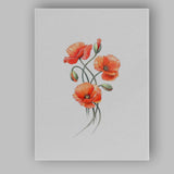 Elegant Red Poppy Botanical Watercolour Floral Canvas Wall Art Print Decor Picture Ready to Hang