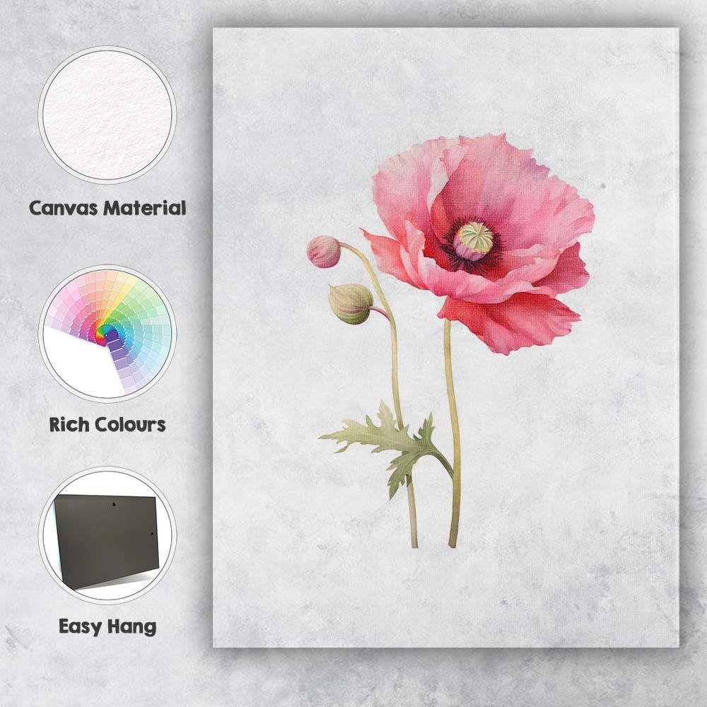 Soft Pink Poppy Botanical Watercolour Flower Canvas Wall Art Print Decor Picture Ready to Hang